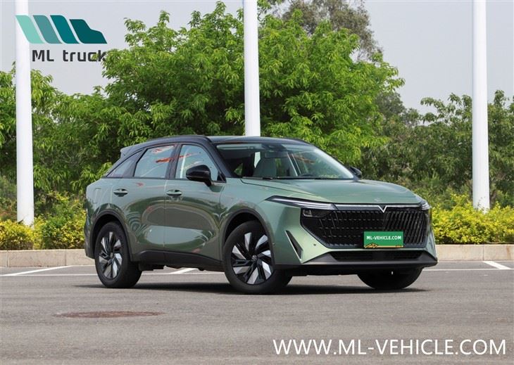 DongFeng NISSAN Venucia V DD-i