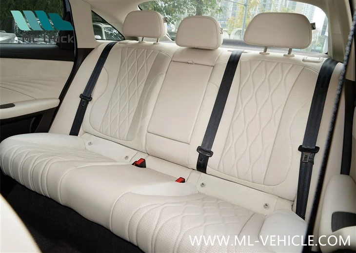 2024 Saic Roewe D7
